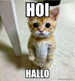 Cute Cat Standing