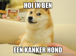 Doge