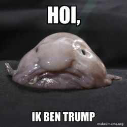 Blobfish