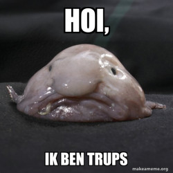Blobfish