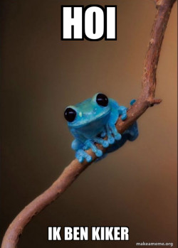 Small Fact Frog