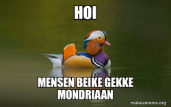Fashionable Advice Mallard