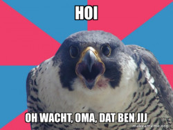 Millennial Falcon