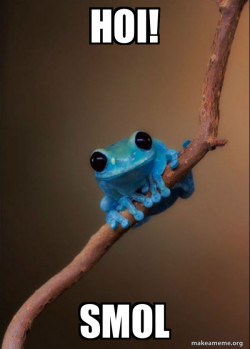 Small Fact Frog