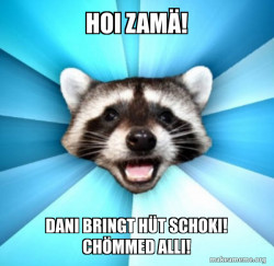 Lame Pun Coon