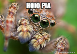 Hipster Spider