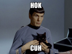 Spock and Cat Meme