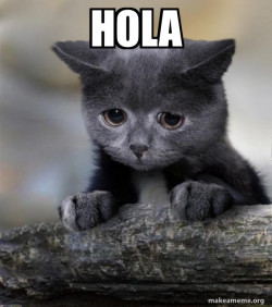 Confession Cat
