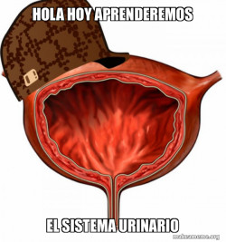 Scumbag Bladder