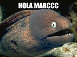 Bad Joke Eel