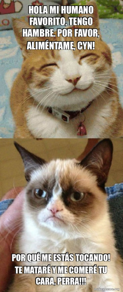 Grumpy Cat vs Happy Cat