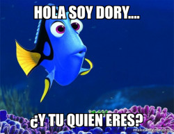 Dory from Nemo  (5 second memory)