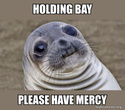 Squeamish Seal