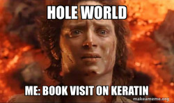 Frodo it's over it's done