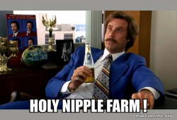 Ron Burgundy - boy that escalated quickly