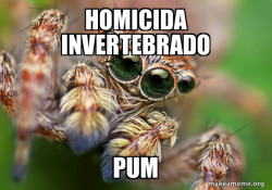 Hipster Spider