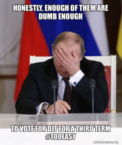 Putin Facepalm