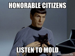 Spock and Cat Meme
