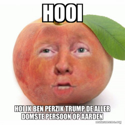 Impeached Donald Trump