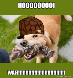 Scumbag dog