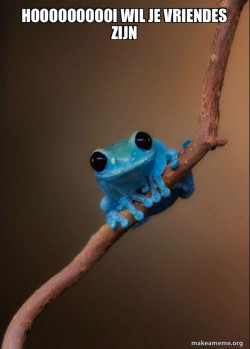 Small Fact Frog