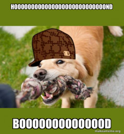Scumbag dog
