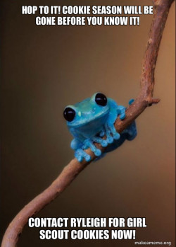 Small Fact Frog