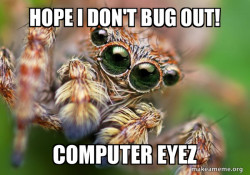 Computer Spider