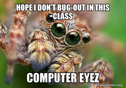 Hipster Spider