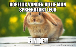 Regretful Rabbit