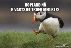 Unpopular Opinion Puffin