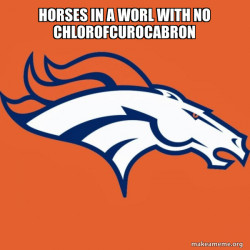 Denver Broncos