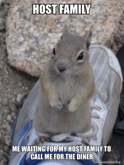 Standover Squirrel