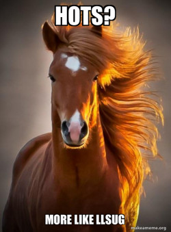 Ridiculously photogenic horse