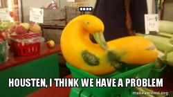 Gourd Advice Mallard