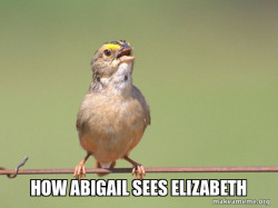 Common Opinion Sparrow