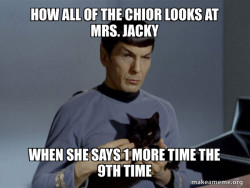 Spock and Cat Meme