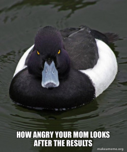 Revenge Duck ( Angry Advice Duck )