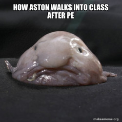 Blobfish