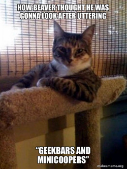 The Most Interesting Cat in the World