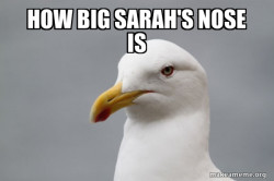 Stuff That Didn't Happen Seagull