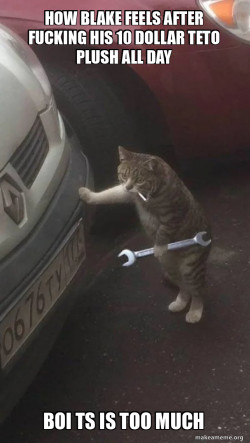 Mechanic Cat