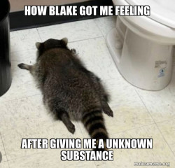 Drunk Raccoon