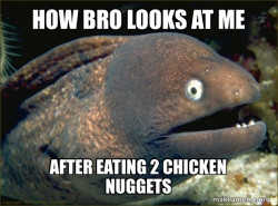 Bad Joke Eel