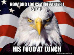 American Pride Eagle