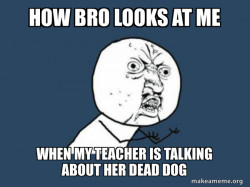 Y U No