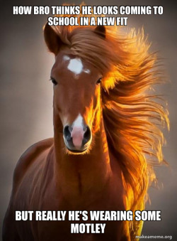 Ridiculously photogenic horse