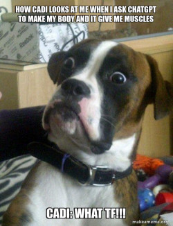 Skeptical Dog