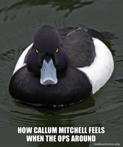 Revenge Duck ( Angry Advice Duck )