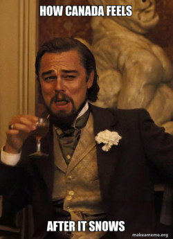 Leonardo DiCaprio Laughing Django